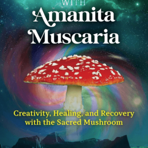 microdosing amanita